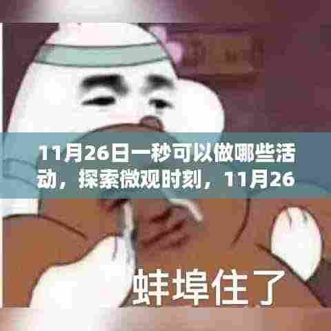 探索微观时刻,11月26日一秒内的活动体验解析