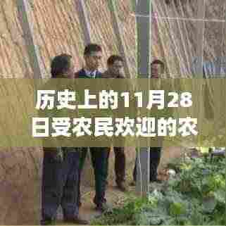 历史上的11月28日,农民心中的农作物之旅,寻找宁静与笑声的旅程