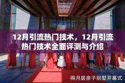 12月引流热门技术全面解析与介绍