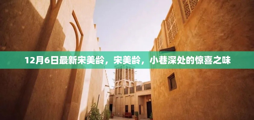 宋美龄,小巷深处的惊喜故事,揭秘传奇人生