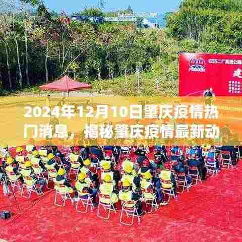 2024年12月10日肇庆疫情最新动态及防控进展热点聚焦