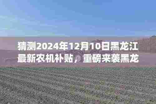 揭秘黑龙江农机新纪元,智能科技重塑农业之旅,重磅预测2024年农机补贴新动向!