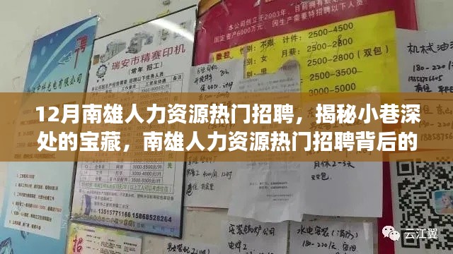 揭秘南雄人力资源招聘背后的特色小店故事,小巷深处的宝藏职位招聘季