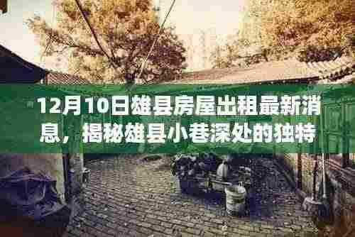 揭秘雄县小巷深处的独特风情,最新房屋出租消息与特色小店一览(12月10日)