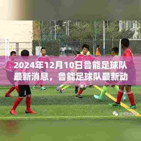 鲁能足球队,足球与友情的温馨邂逅(最新动态报道)