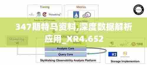 347期特马资料,深度数据解析应用_XR4.652