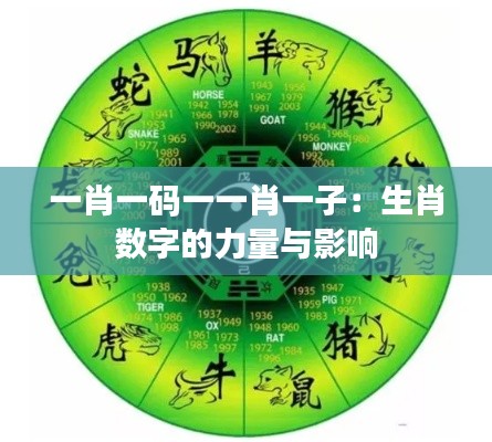 一肖一码一一肖一子:生肖数字的力量与影响
