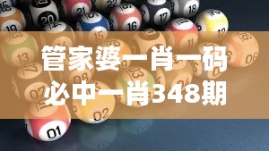 管家婆一肖一码必中一肖348期:精准预测的艺术