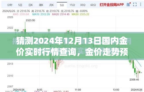 2024年12月13日国内金价实时行情分析与预测