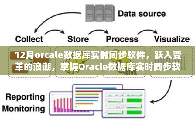Oracle数据库实时同步软件的变革浪潮,自信与成就感的掌握之旅