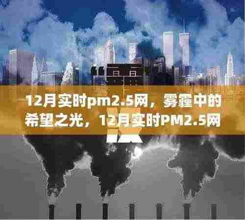 12月实时PM2.5网,雾霾中的希望与学习变革之光
