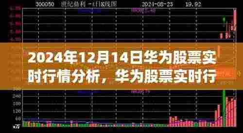2024年12月14日华为股票实时行情深度洞察与分析