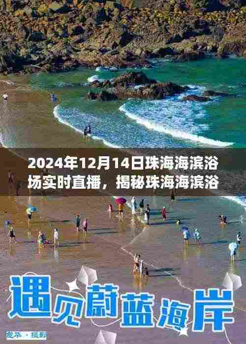 珠海海滨浴场背后的宝藏,特色小店直播之旅揭秘日纪实