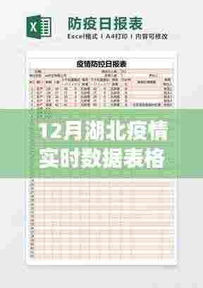12月湖北疫情实时数据表格,全面评测与详细介绍