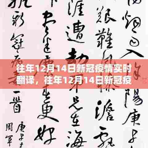 回顾与启示,全球战疫的翻译挑战与策略——历年12月14日新冠疫情实时翻译回顾与展望
