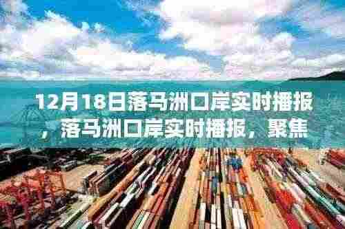 落马洲口岸最新实时播报，跨境交通与区域发展深度解析