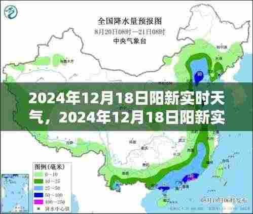 2024年12月18日阳新实时天气解析及深度报告