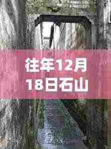 往年石山口水库水位实况与小巷深处的独特宝藏店铺探秘