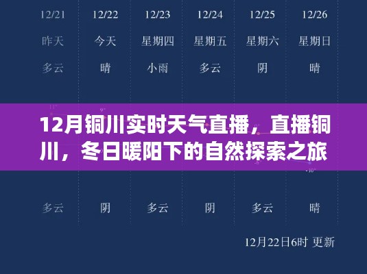 铜川实时天气直播,冬日暖阳下的自然探索之旅