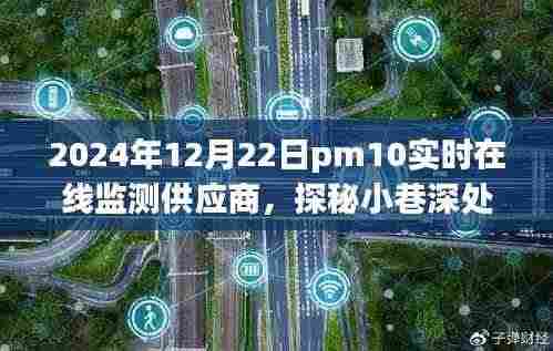 探秘小巷深处的环保新星,2024年PM10实时在线监测供应商揭秘