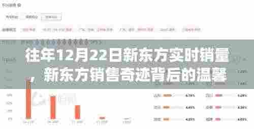 新东方冬至销售奇迹背后的温馨故事,历年12月22日实时销量揭秘