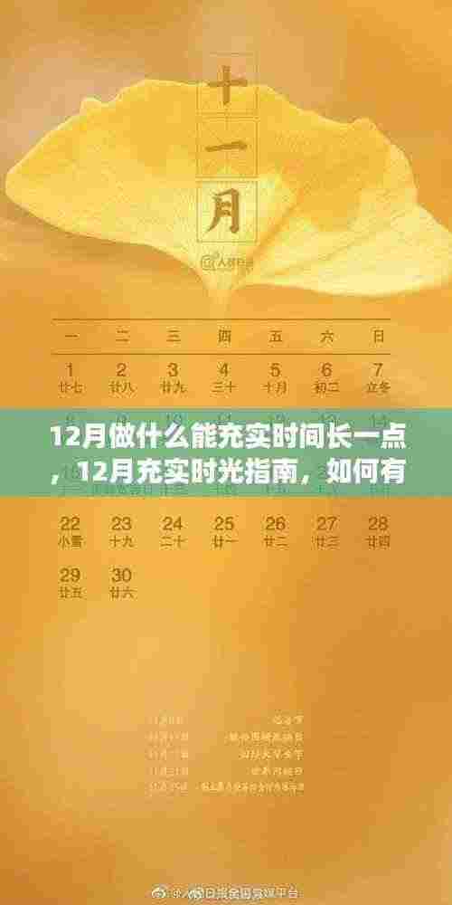 12月充实时光指南,有效规划与利用每一刻,让生活更有意义