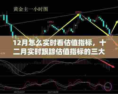 十二月实时跟踪估值指标的三大要点与策略,如何准确进行实时估值指标观察