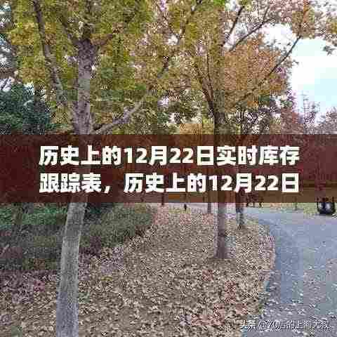 探寻自然美景的心灵之旅，历史上的12月22日库存轨迹跟踪表纪实