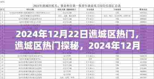 谯城区热门探秘,2024年12月22日精彩瞬间
