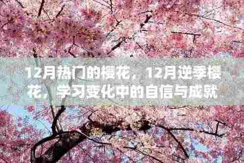 鼓舞人心的旅程,逆季樱花下的自信与成就感之路