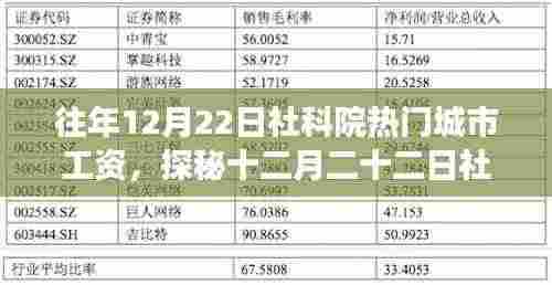 探秘社科院热门城市工资背后的故事,小巷特色小店奇遇记与年末工资观察