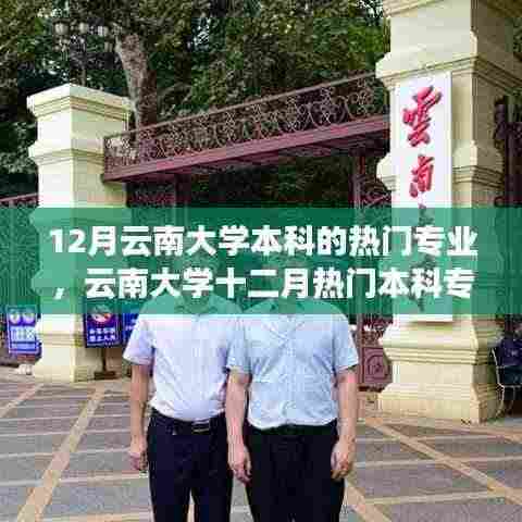 云南大学十二月热门本科专业深度解析,价值与挑战探索