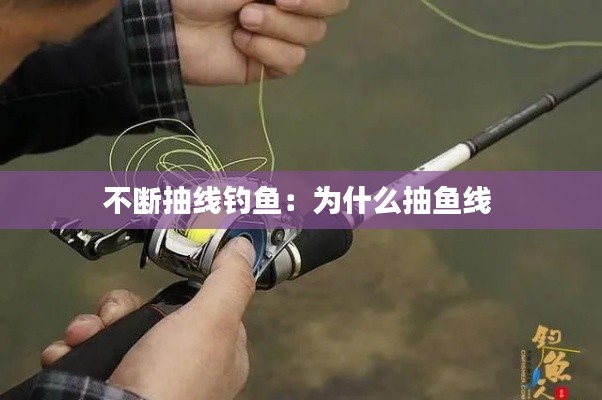 不断抽线钓鱼:为什么抽鱼线