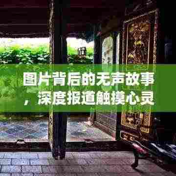 图片背后的无声故事，深度报道触摸心灵瞬间