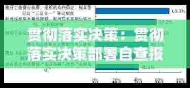 贯彻落实决策：贯彻落实决策部署自查报告 
