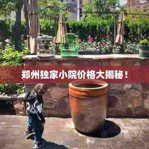 郑州独家小院价格大揭秘！