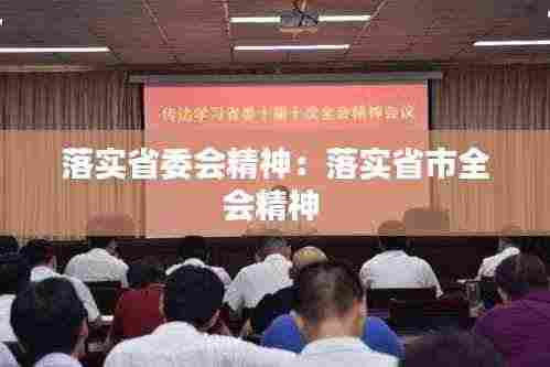 落实省委会精神:落实省市全会精神