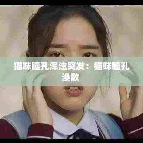 猫咪瞳孔浑浊突发:猫咪瞳孔涣散