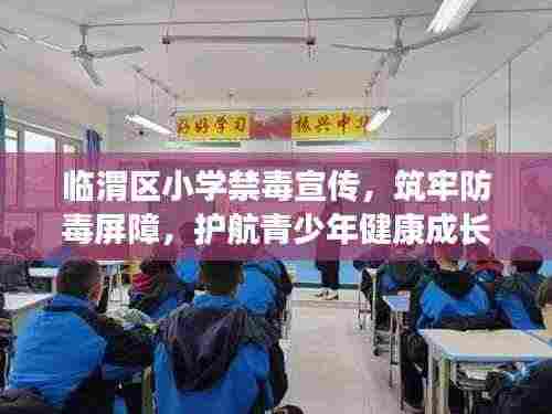 临渭区小学禁毒宣传,筑牢防毒屏障,护航青少年健康成长之路