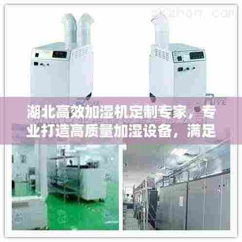 湖北高效加湿机定制专家，专业打造高质量加湿设备，满足您的个性化需求！