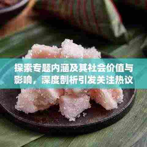 探索专题内涵及其社会价值与影响,深度剖析引发关注热议