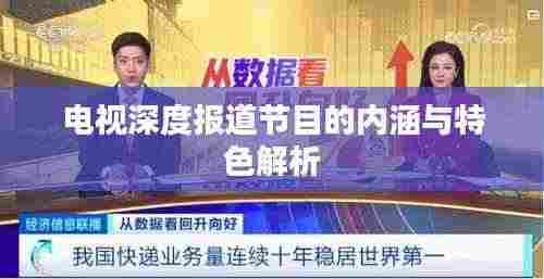 电视深度报道节目的内涵与特色解析