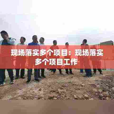 现场落实多个项目:现场落实多个项目工作