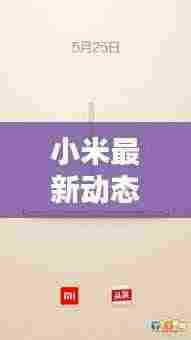 小米最新动态揭秘,今日头条独家爆料!