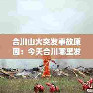 合川山火突发事故原因：今天合川哪里发生火灾 
