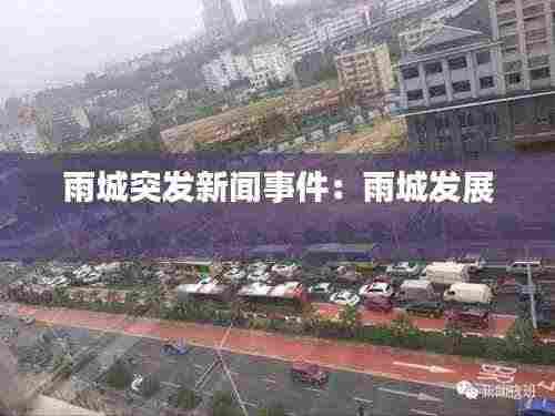 雨城突发新闻事件:雨城发展