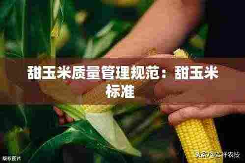 甜玉米质量管理规范：甜玉米标准 