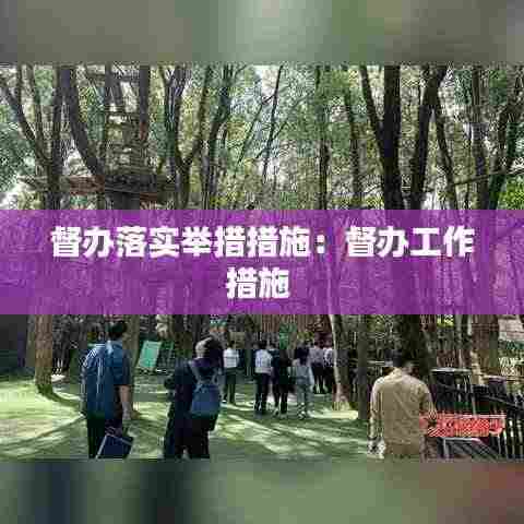 督办落实举措措施：督办工作措施 