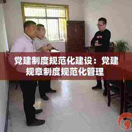 党建制度规范化建设:党建规章制度规范化管理