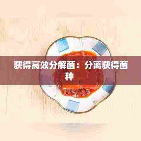 沉厚寡言 第4页